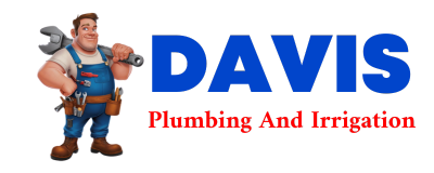 Trusted plumber in BEBE